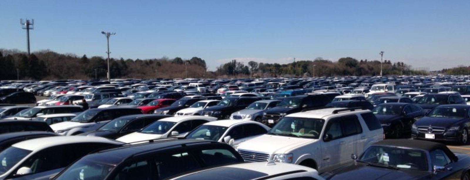 Japan's car auction